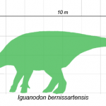 “Hey, Iguanodon. Stop staring at my junk.”